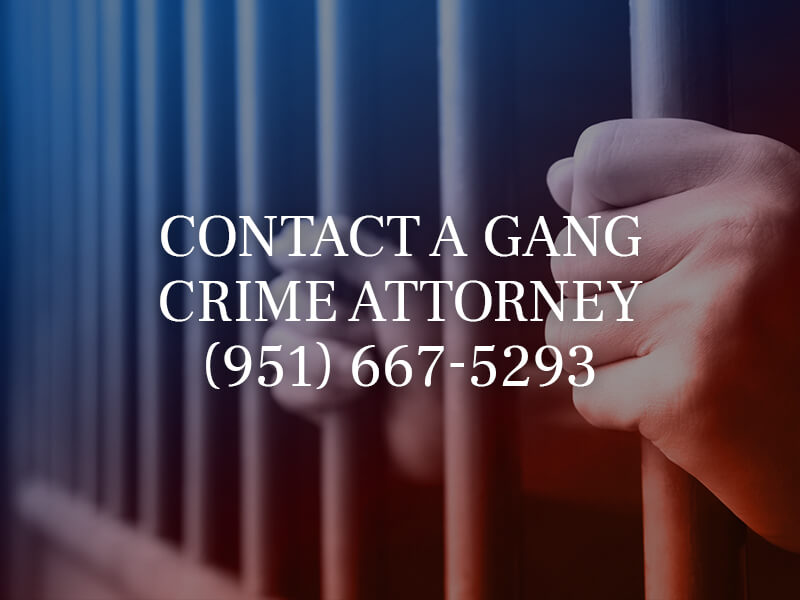 Contact a Gang Crime Attorney